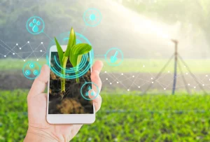Cómo aplicar el branding para empresas agroindustriales
